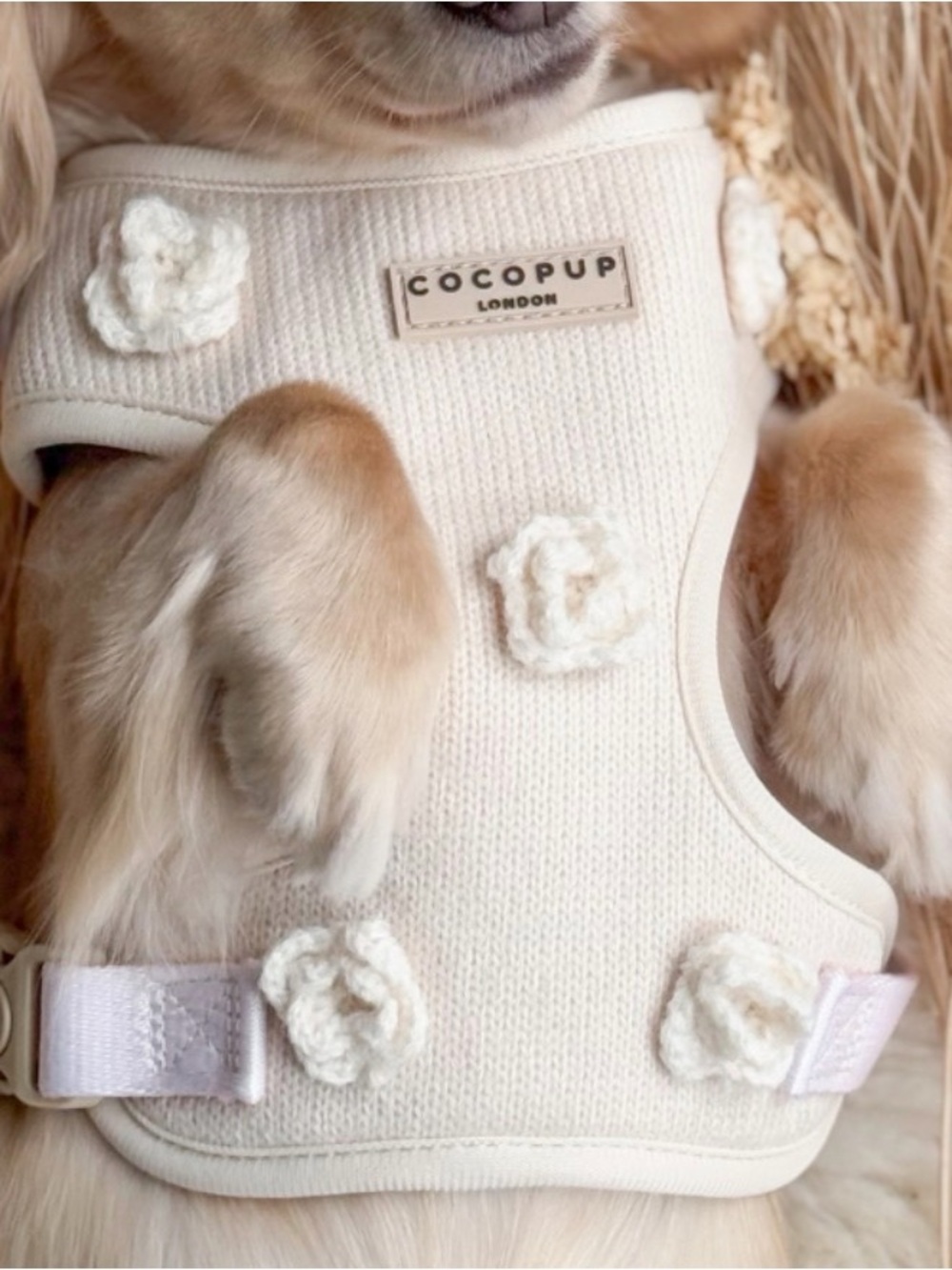 COCOPUP harness, collar and leash set. Knit flower pattern size small